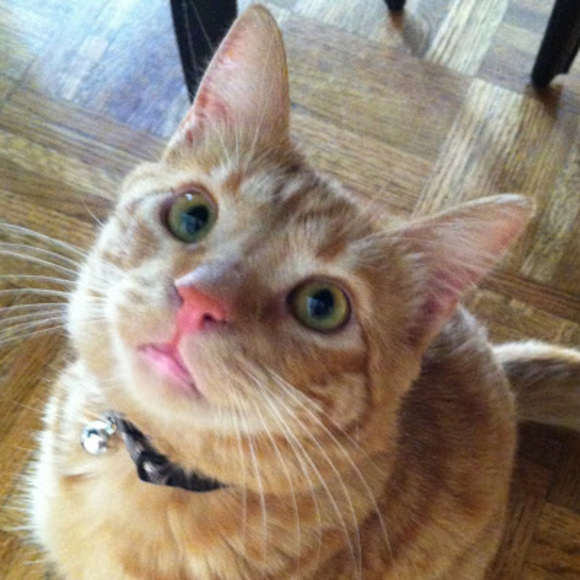 Meet your Posher, Maria - Picture 1 of 1